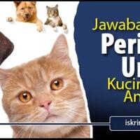 kenapa-kucing-dan-anjing-berperilaku-unik-inilah-jawaban-ilmiahnya