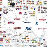 semua-barang-dan-makanan-yang-gansist-beliduitmu-larinya-ke-10-perusahaan-ini