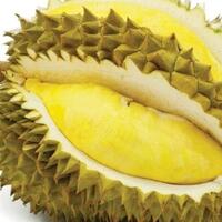 durian-si-legit-yang-berpenyakit