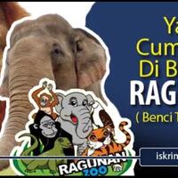yang-cuma-ada-di-kebun-binatang-ragunan-jakarta--benci-tapi-rindu