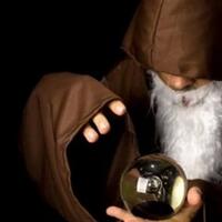 tim-ini-akhirnya-menang-berkat-dukun-cantik