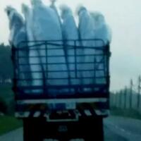 gimana-kalau-tiba-tiba-di-tengah-jalan-kamu-ketemu-sama-puluhan-quotpocongquot