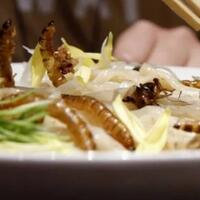 oishii-tsukemen-serangga-topping-jangkrik-dan-belalang-paling-laku-di-jepang-gan