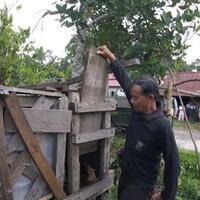 sedih-orang-utan-di-kalimantan-dikurung-dalam-kotak-pengap