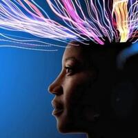 7-bukti-kalau-otak-manusia-sebenarnya--penipu