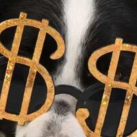 inilah-hewan-hewan-peliharaan-yang-harganya-selangit-dan-bikin-kamu-garuk-kepala