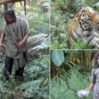 ala-jungle-book-pria-asal-malang-tinggal-dengan-harimau-10-tahun