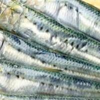 6-jenis-ikan-yang-sebaiknya-tak-kamu-makan-meski-umum-di-pasaran