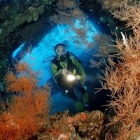 10-lokasi-diving-paling-hits-di-bumi