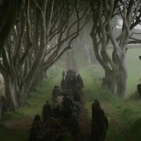 indah-dan-berhantu-terowongan-pohon-lokasi-syuting-game-of-thrones