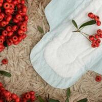 selain-menampar-pipi-inilah-7-tradisi-haid-pertama-yang-unik-dari-berbagai-budaya