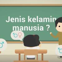 kenapa-jenis-kelamin-ada-dua-explained-with-animation