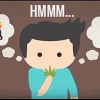 apakah-ganja-buruk-bagi-kita-explained-with-animation