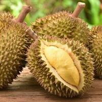 durian-ini-nggak-ada-durinya-jadi-namanya-apa-dong