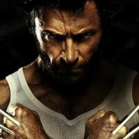 fakta-fakta-tentang-wolverin-yang-mungkin-agan-tidak-ketahui