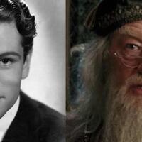 inilah-penampakan-para-pemeran-guru-harry-potter-saat-mereka-muda