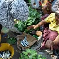 unik-meski-sudah-modern-beberapa-daerah-ini-masih-berdagang-dengan-sistem-barter