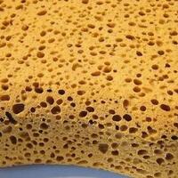 buktikan-jika-kamu-tak-memiliki-riwayat-trypophobia-dengan-melihat-8-gambar-ini