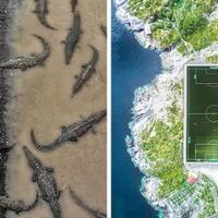 21-foto-terbaik-di-tahun-2017-versi-national-geographic