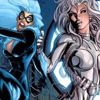 berkenalan-dengan-karakter-silver-sable--black-cat