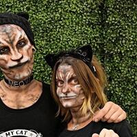 cat-con-tempatnya-para-pencinta-kucing-berkumpul-dan-bersenang-senang