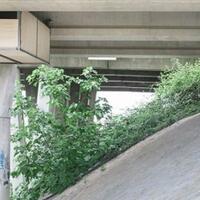 studio-di-kolong-jembatan-ini-bikin-ane-berdecak-kagum