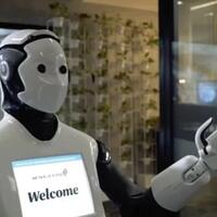 robot-humanoid-bantu-proses-check-in-di-bandara