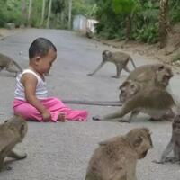 legenda-kera-kera-manja-penunggu-masjid-saka-tunggal