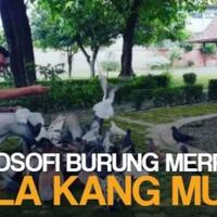filosofi-merpati-ala-kang-mus