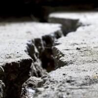 mengapa-hewan-turun-gunung-sebelum-gempa-bumi-terjadi