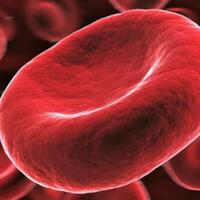 organ-tubuh-yang-dapat-quotdibuatquot-manusia