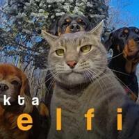suka-selfie-wajib-liat-fakta-faktanya-berikut-ini