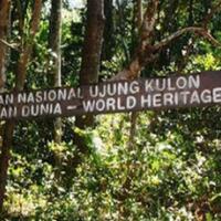pastikan-harimau-jawa-belum-punah-balai-tnuk-terjunkan-dua-tim-survei
