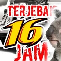 astaga-koala-menyusui-terjebak-16-jam-di-bawah-mobil-dan-terbawa-sejauh-16km