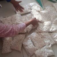 16-pengedar-pcc-di-sultra-ditahan