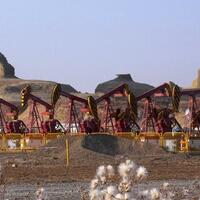 siapakah-imigran-di-kawasan-xinjiang