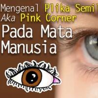 ternyata-ini-toh-yang-disebut-plika-semilunaris-aka-pink-corner-pada-mata-manusia