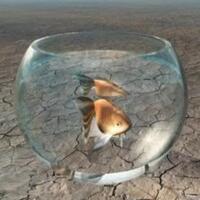 salut--negara-ini-menemukan-tekhnologi-beternak-ikan-di-gurun