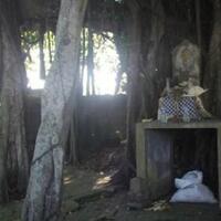 hati-hati-kalo-mau-nebang-pohon-gan