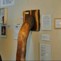 museum-quotunikquot-ini-hanya-bisa-di-kunjungi-orang-dewasa-aja-penasaran