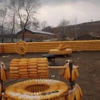 petani-china-ini-membangun-quotrumah-dan-halaman-emasquot