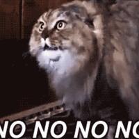 ini-yang-terjadi-ketika-hewan-melihat-hantu