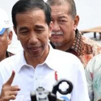 setya-novanto-minta-perlindungan-jokowi-maksudnya-gimana