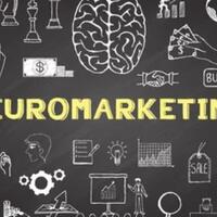 neuromarketing-rahasia-menciptakan-konten-yang-terus-diingat-konsumen