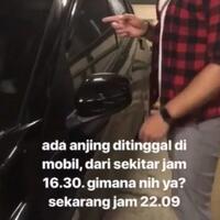 gimana-tanggapan-agan-soal-anjing-malang-yang-ditinggal-8-jam-di-mobil