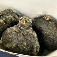 jepang-memang-gila-ada-ayam-goreng-berwarna-hitam-pekat