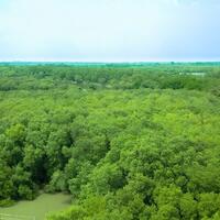 event-lingkungan-hutan-mangrove-sebagai-perisai-hijau-di-pesisir