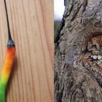 11-foto-bermula-dari-ketidaksengajaan-tapi-visualnya-bikin-berkata-perfect-banget