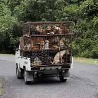 aku-sahabat-bukan-makanan