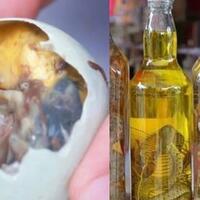 dari-ulat-hingga-janin-bebek-inilah-8-makanan-ekstrim-dari-asia-tenggara-geli